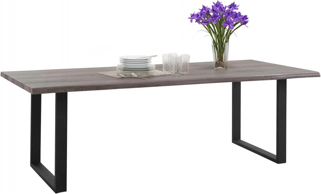 Jedálenský stôl Sinc, 220 cm, sivá/čierna