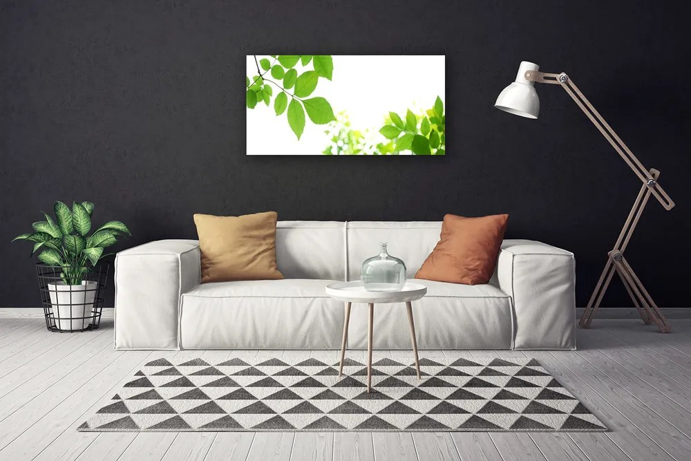 Obraz Canvas Plátky rastlina príroda 125x50 cm