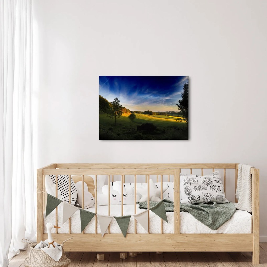 Obraz - Horská lúka (70x50 cm)