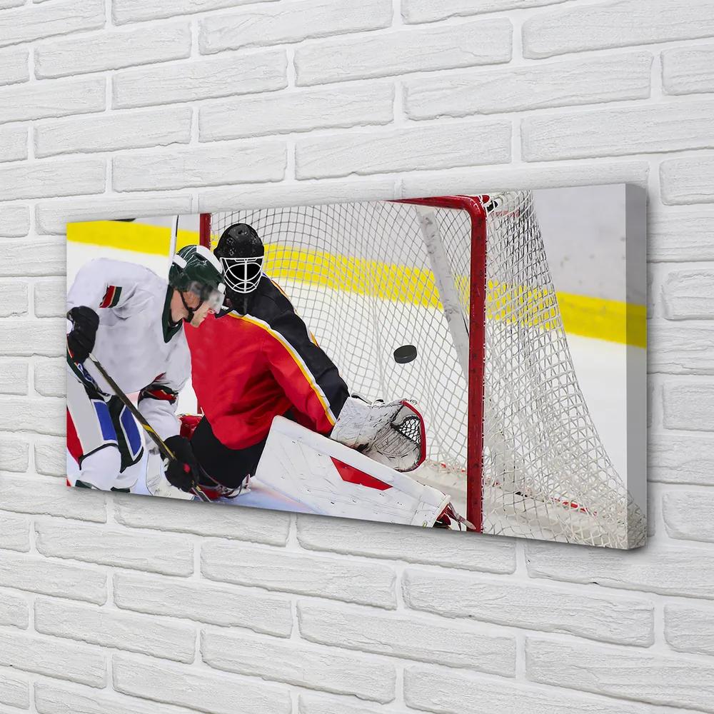Obraz canvas brána hokej 120x60 cm