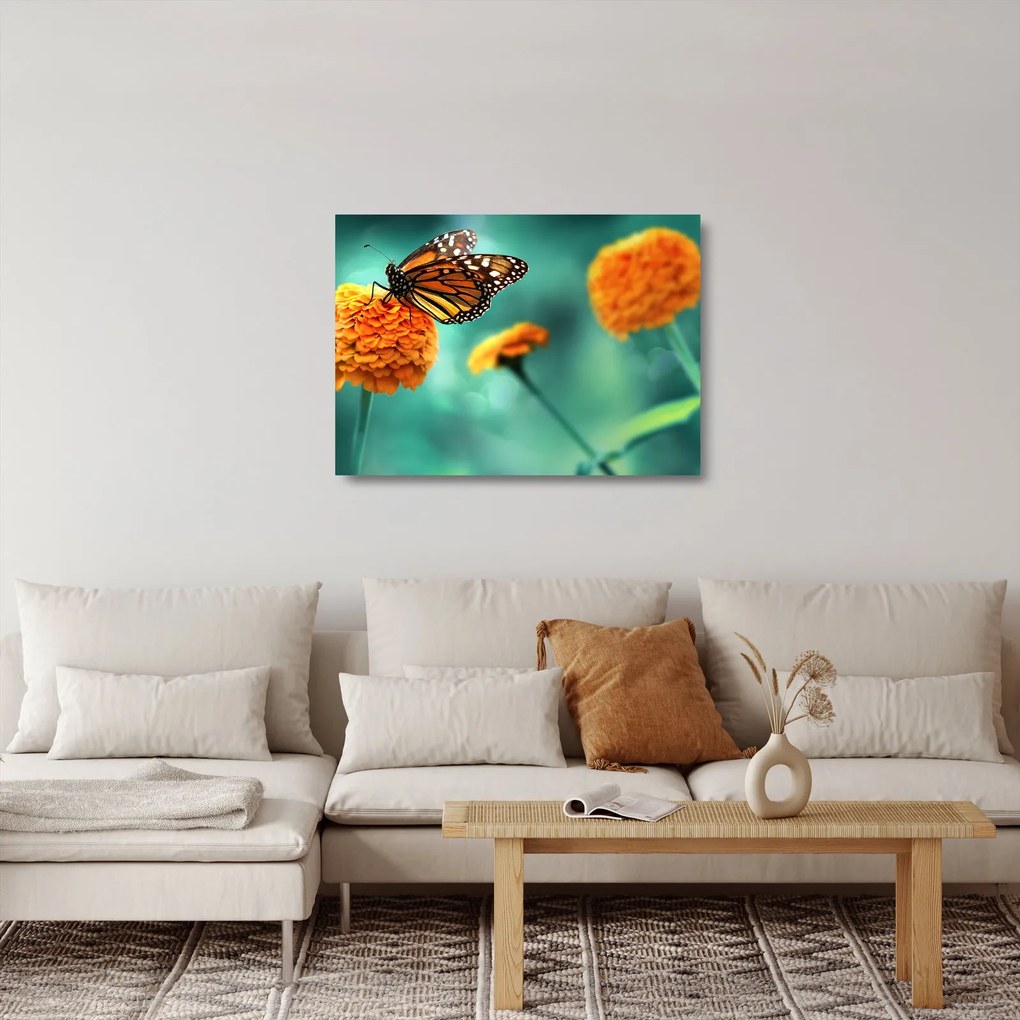Sklenený obraz motýľa (70x50 cm)