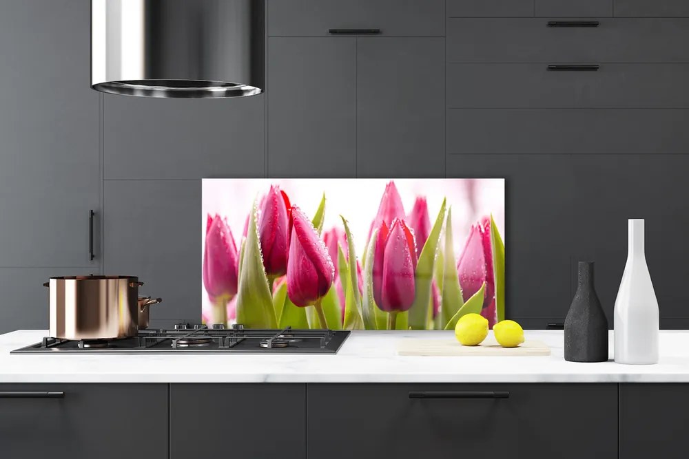 Sklenený obklad Do kuchyne Tulipány kvety rastlina 120x60 cm