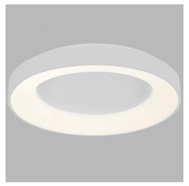 LED2 - LED Stropné svietidlo BELLA LED/40W/230V 3000/4000K biela