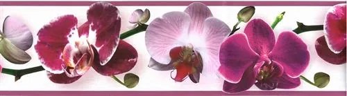 Samolepiaca bordúra B 83-07-02, rozmer 8,3 cm x 5 m, kvety orchideje, IMPOL TRADE