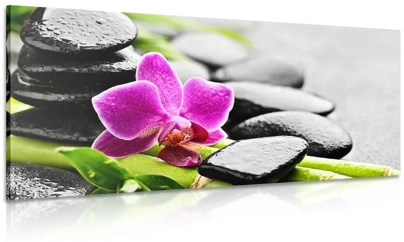 Obraz wellness zátišie s fialovou orchideou - 100x50