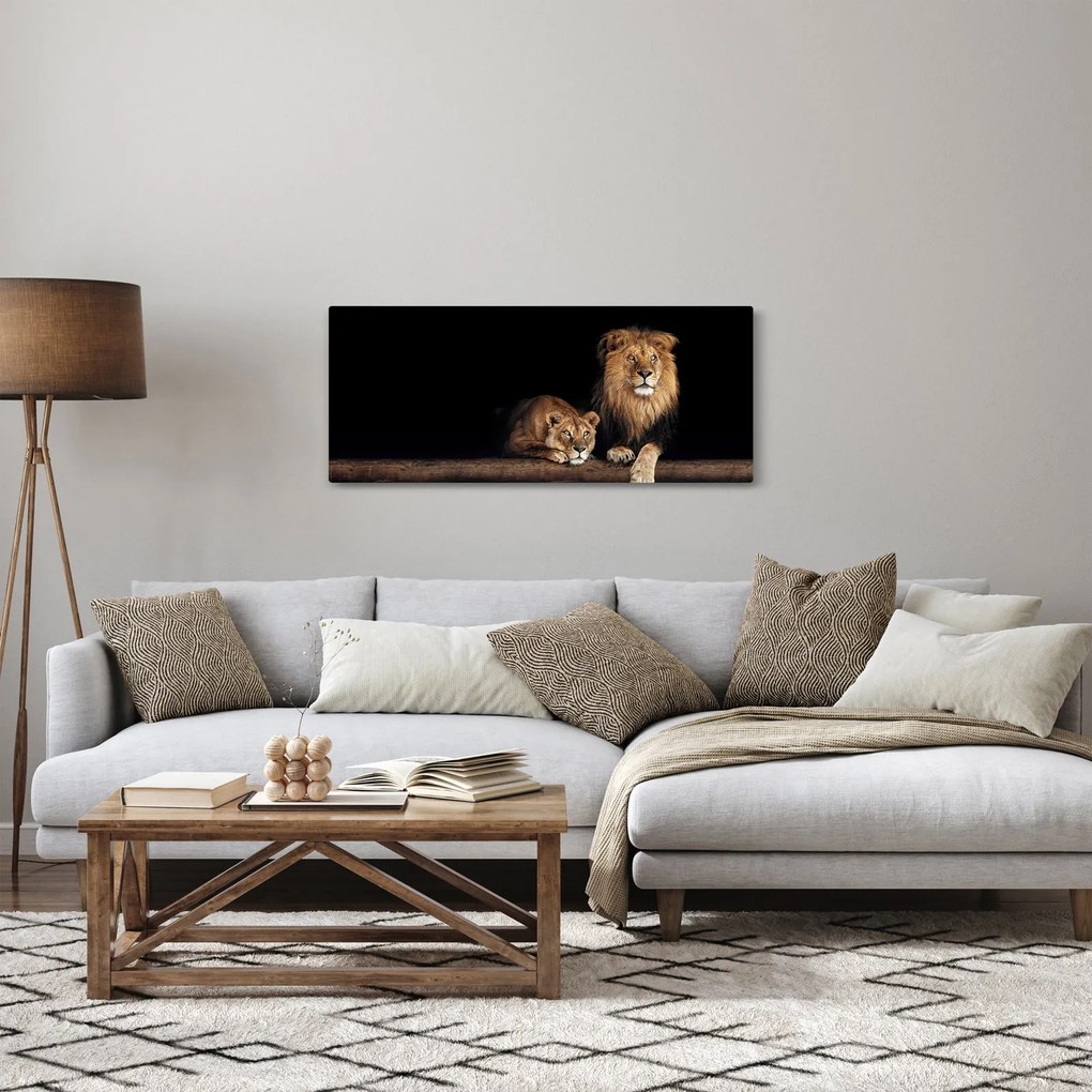 Obraz - Lev a levice (120x50 cm)