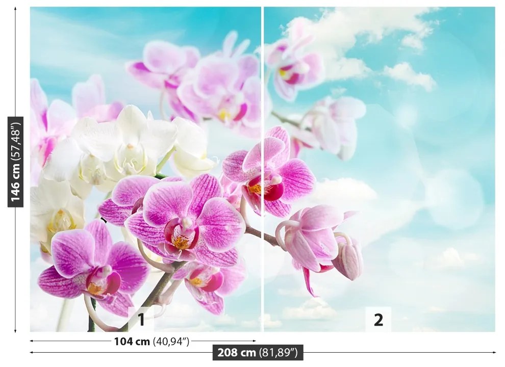 Fototapeta Vliesová Orchidey modrá 104x70 cm