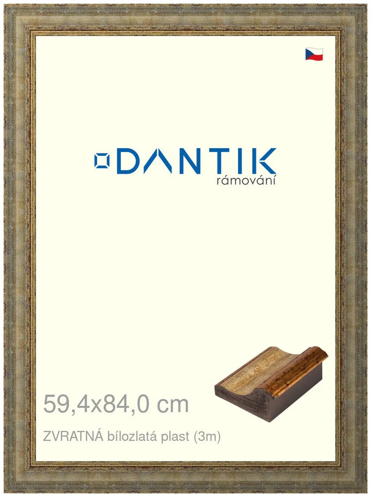 DANTIK rám na obraz 59,4x84 | ZVRATNÁ bílozlatá plast (Plexi Čiré)