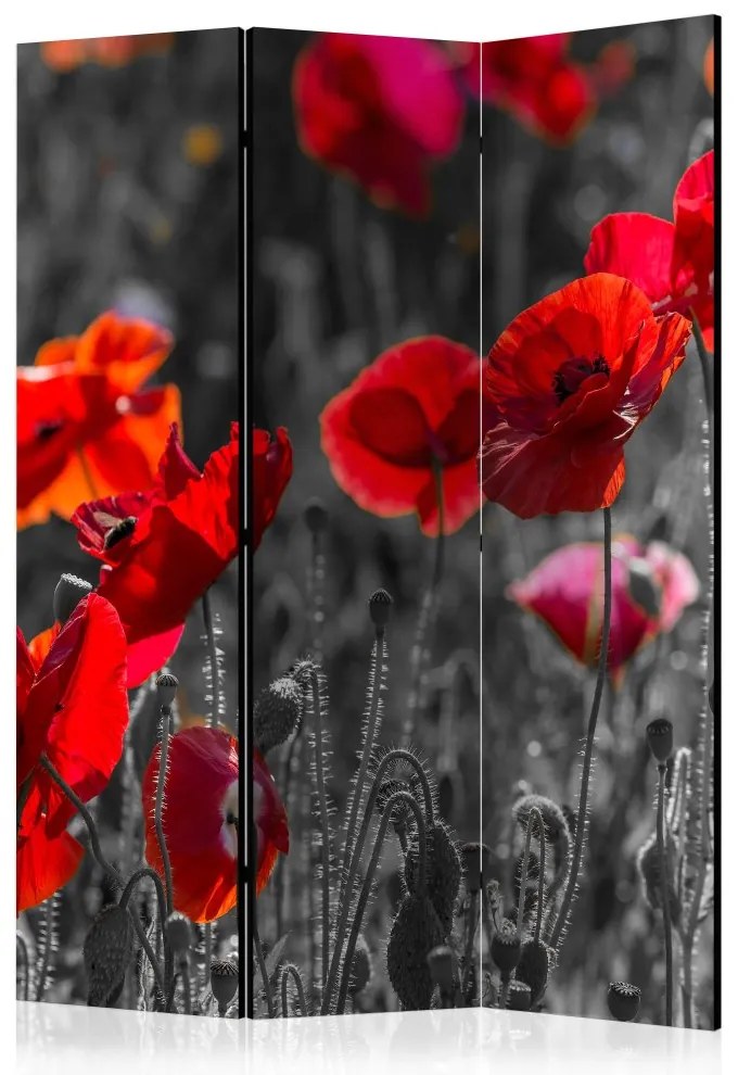 Artgeist Paraván - Red Poppies [Room Dividers]