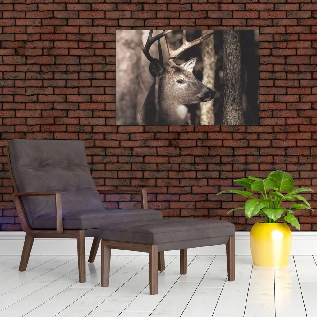 Obraz - Jeleň v lese (90x60 cm)