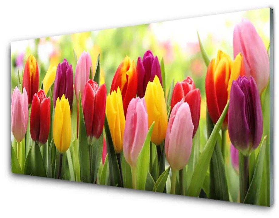 Skleneny obraz Tulipány kvety príroda 100x50 cm 2 Prívesky