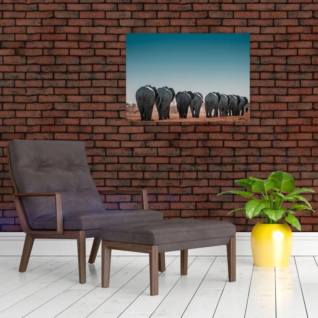 Sklenený obraz - Odchod slonov (70x50 cm)