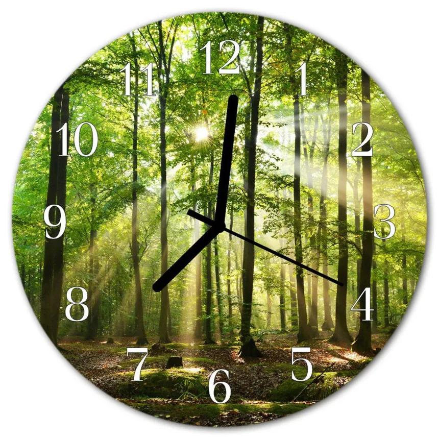 Nástenné sklenené hodiny Lesné príroda fi 30 cm