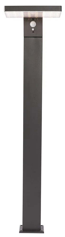 Vonkajšia stojaca lampa tmavosivá 80 cm vrátane LED a stmievateľného svetla na solár - Sunnie