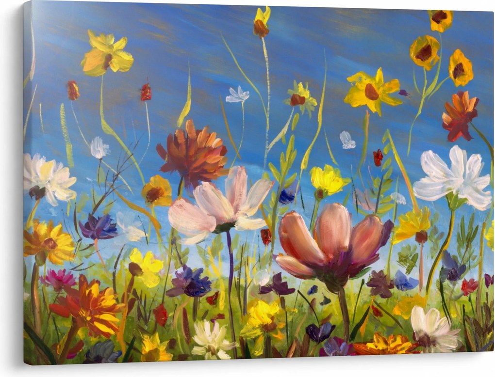 Maľovaný obraz rozkvitnutej lúky (70x50 cm)