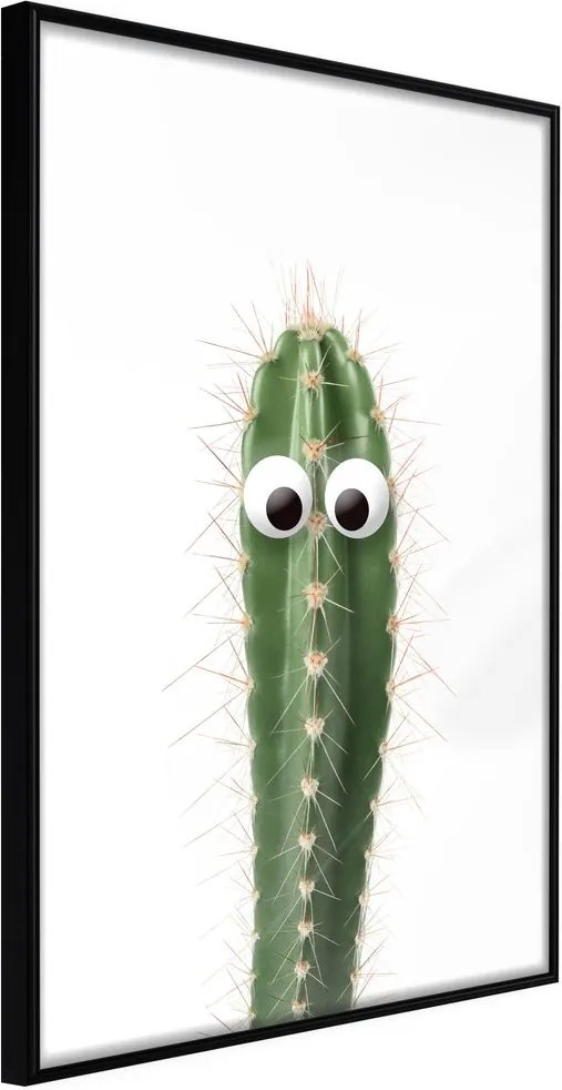 Plagát zábavný kaktus - Funny Cactus