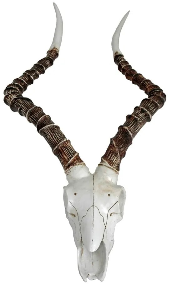 Polyresinová nástenná dekorácia 33x68 cm Impalak – Deco Pleasure