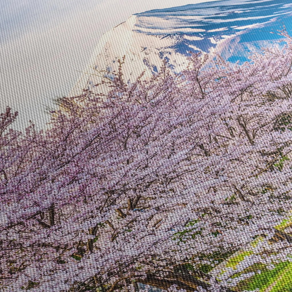 Obraz - Japonsko na jar (90x60 cm)