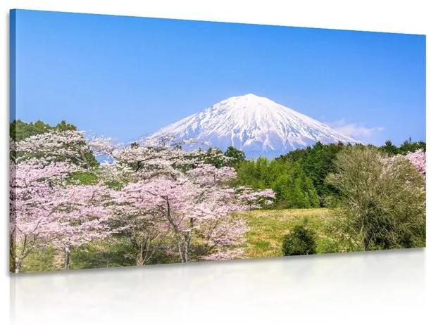 Obraz sopka Fuji