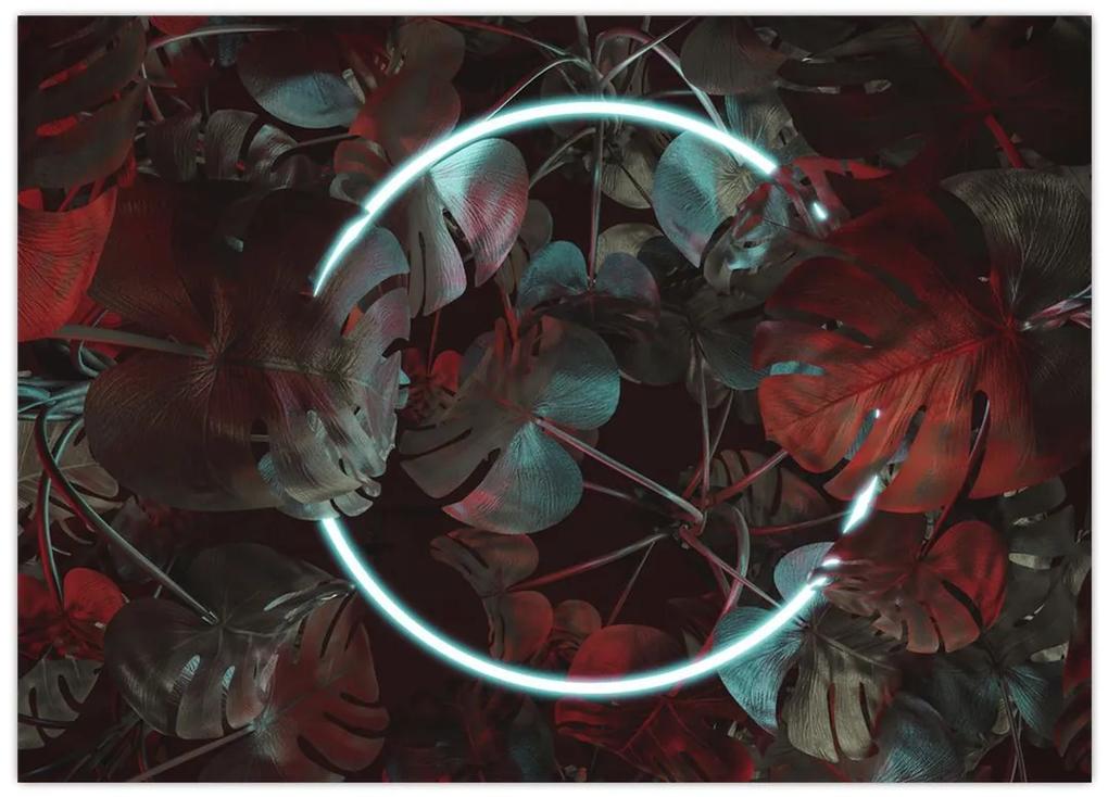 Obraz - Neónový kruh medzi palmami (70x50 cm)