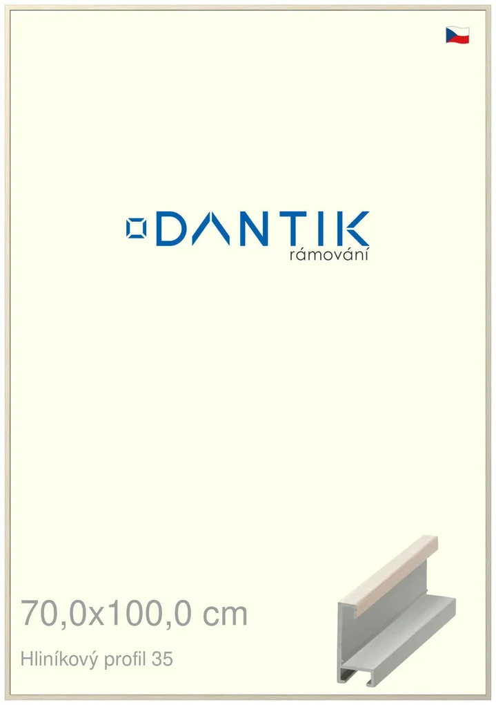 DANTIK rám na obraz 70x100 | ALU Dýha slonová kost (Plexi Čiré)