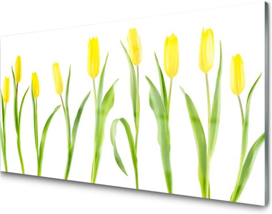 Sklenený obklad Do kuchyne Žlté Tulipány Kvety