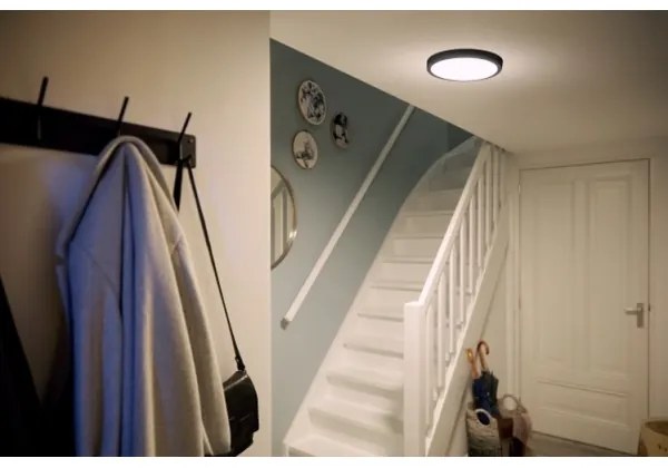 Philips - LED Stropné svietidlo MAGNEOS LED/12W/230V 2700K čierna