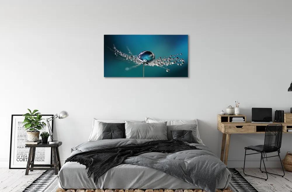 Obraz canvas Kvapky makro púpava 125x50 cm