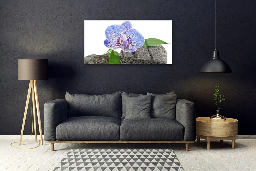 Obraz na skle Kvet rastlina príroda 140x70 cm