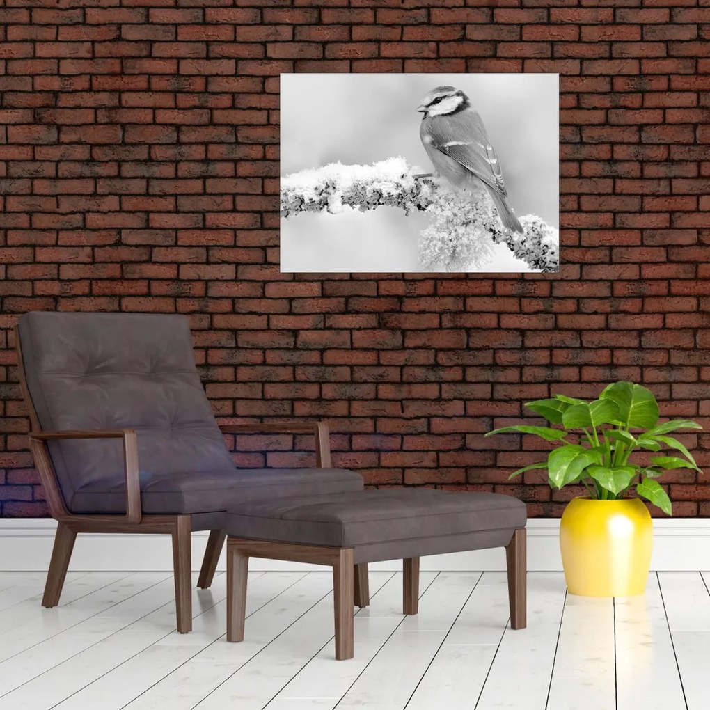 Obraz - Vtáčik na vetve (70x50 cm)