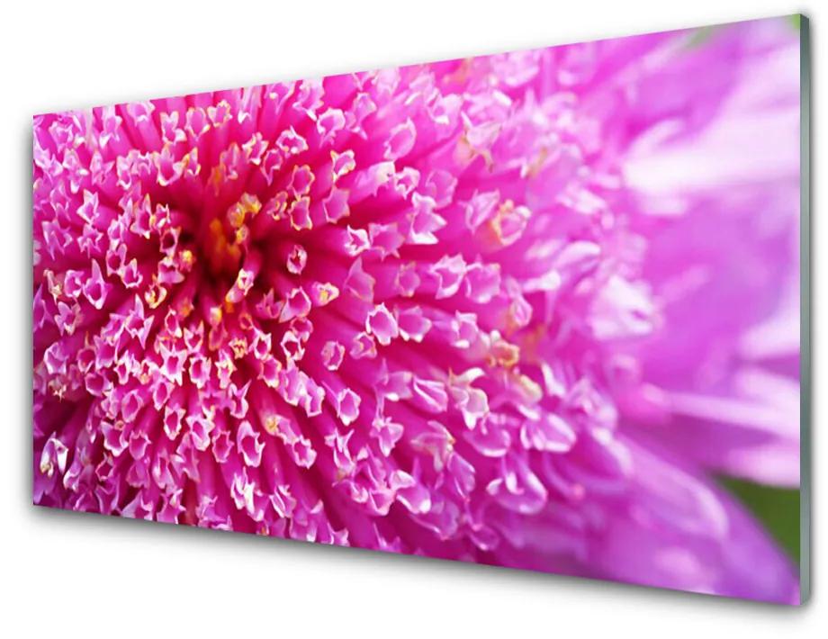 Obraz na skle Kvet 125x50 cm