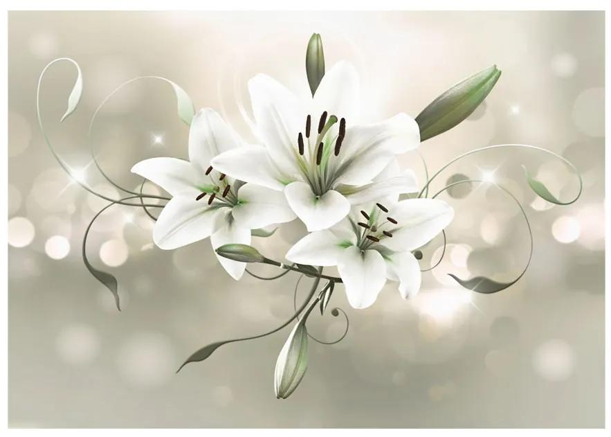 Artgeist Fototapeta - Lily - Flower of Masters Veľkosť: 200x140, Verzia: Premium