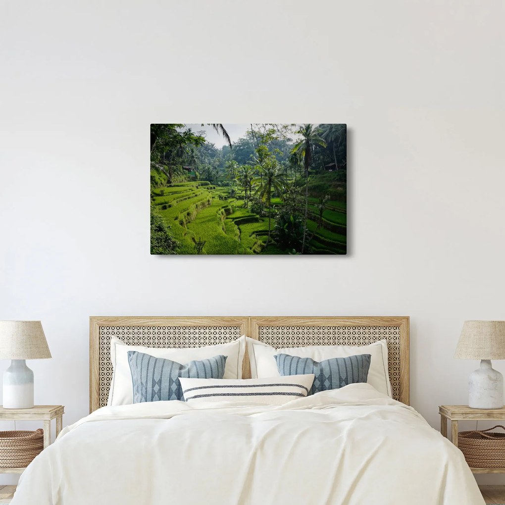 Obraz ryžových terás Tegalalang, Bali (90x60 cm)