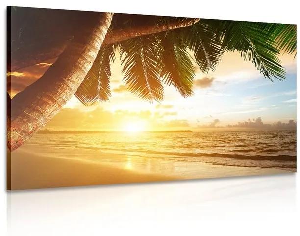 Obraz východ slnka na karibskej pláži - 120x80
