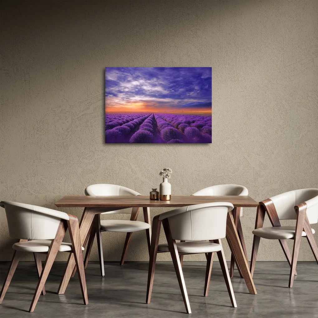 Obraz levanduľového pole (70x50 cm)