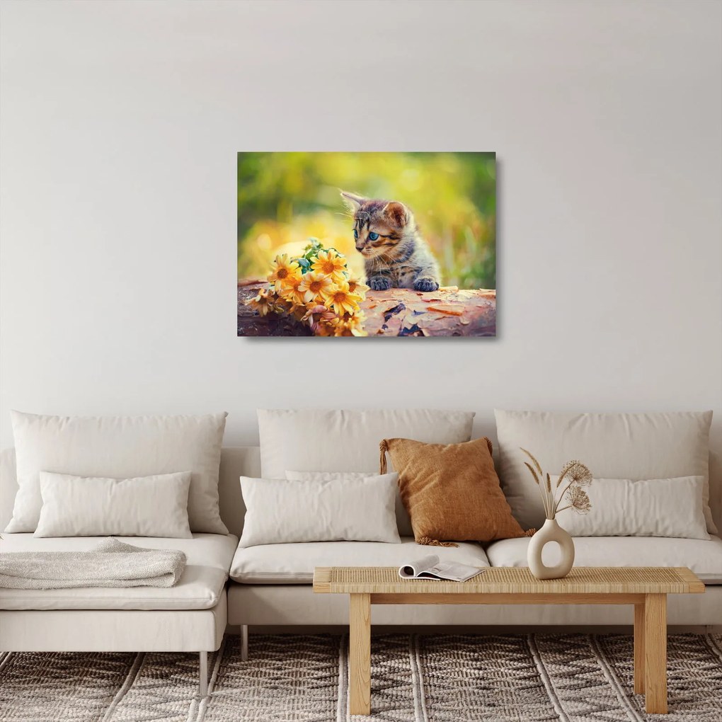 Sklenený obraz mačiatka pozerajúce sa na kvetinu (70x50 cm)