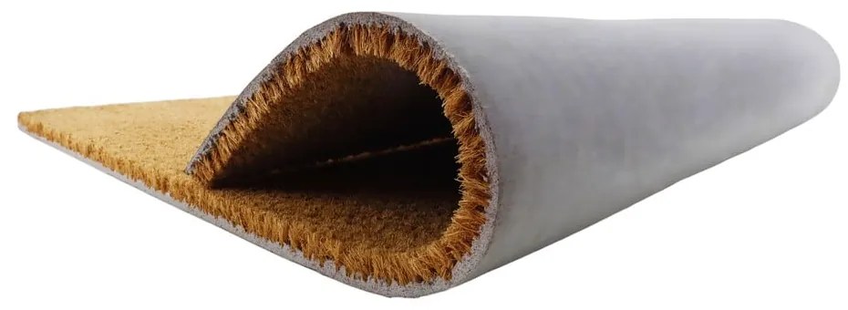 Rohožka z kokosového vlákna 40x60 cm Mushrooms – Artsy Doormats