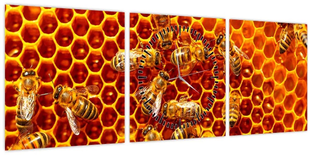 Obraz - Medový plást (s hodinami) (90x30 cm)