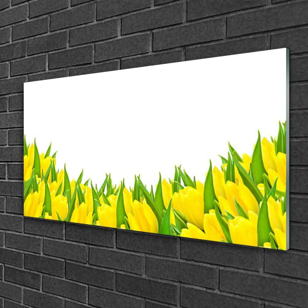Skleneny obraz Kvety príroda tulipány 120x60 cm