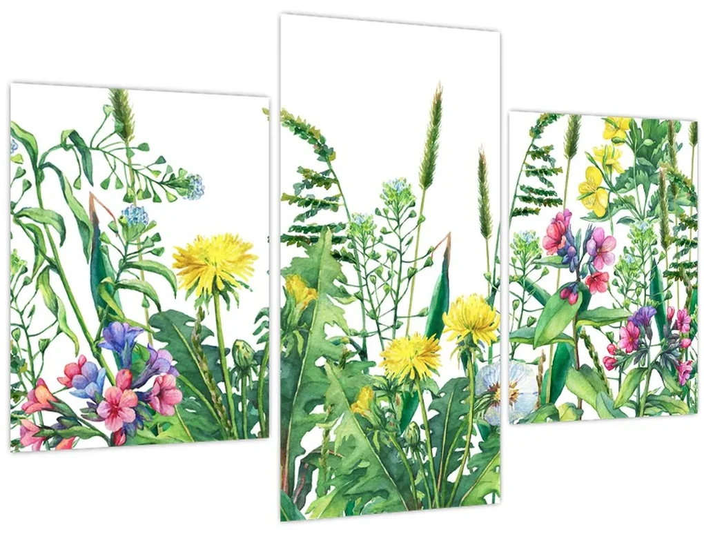 Obraz - Maľované lúčne kvety (90x60 cm)