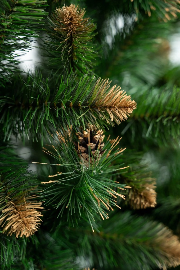 Limpol Borovica Verona zlatá 240 cm