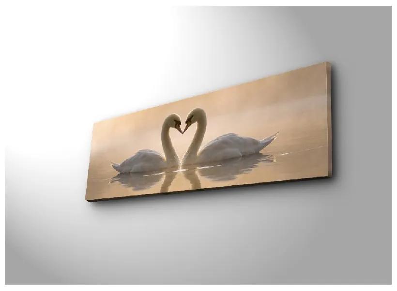 Obraz na plátne Swan Love, 90 × 30 cm
