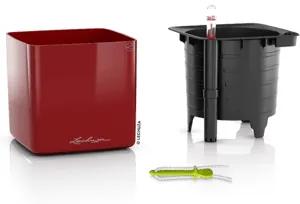 Lechuza Cube Glossy 14 All inclusive set scarlet red high-gloss 14x14x14 cm
