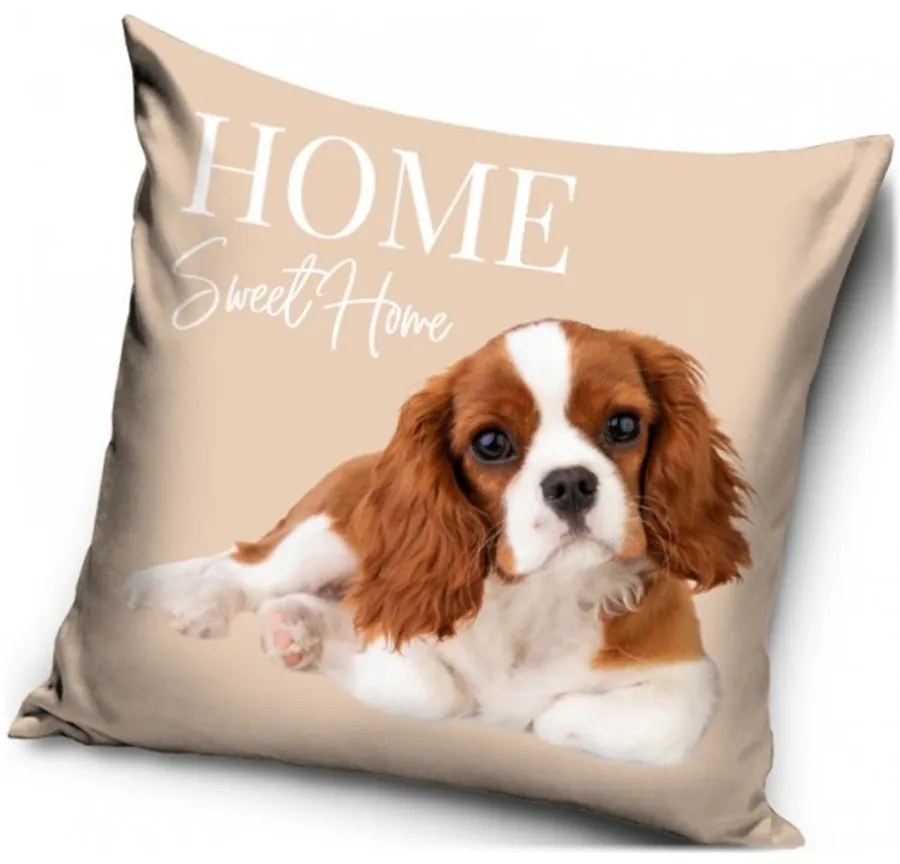 Dekoračný vankúš Kavalier King Charles španiel - 40 x 40 cm