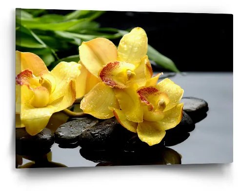 Sablio Obraz Žlté Orchidey - 60x40 cm