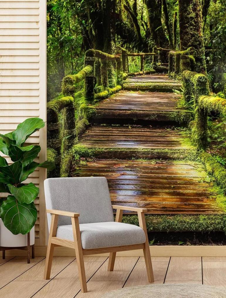 Fototapeta, Most v zeleném lese - 150x210 cm