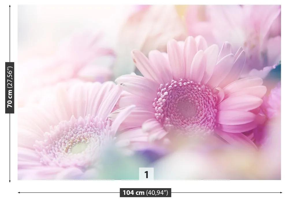 Fototapeta Vliesová Ružové kvety 416x254 cm