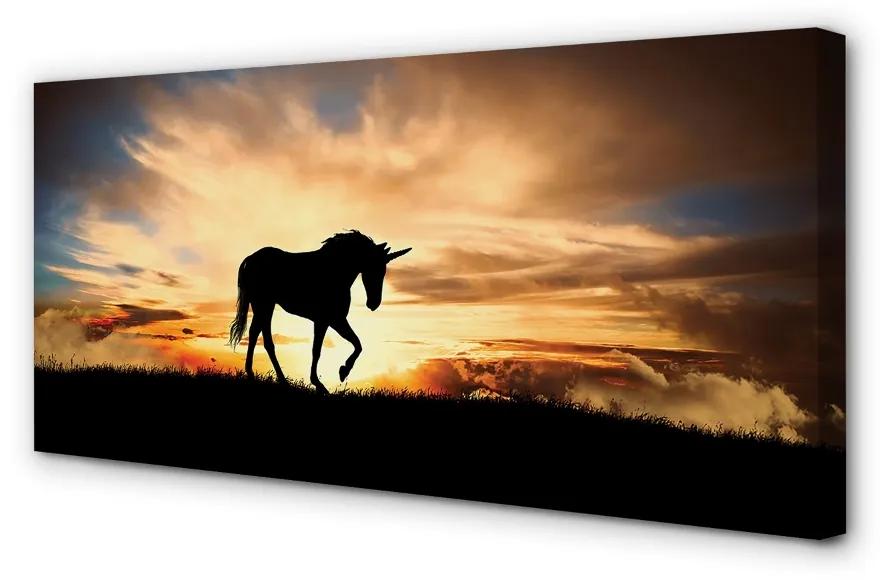 Obraz na plátne Unicorn sunset 120x60 cm