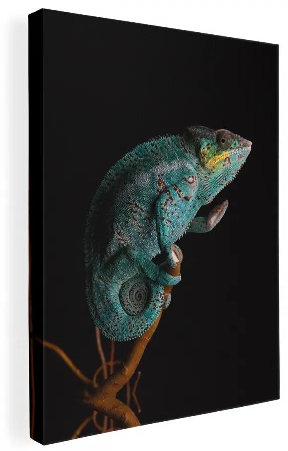 Obraz na plátne s motívom chameleóna