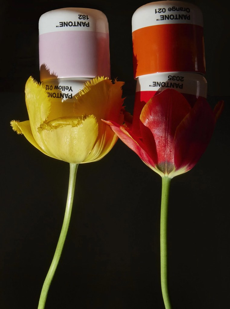Hrnčeky Pantone 100 ml teplé farby 4 ks